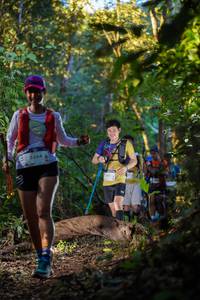 BIB: 2354
                            <button type="button" onclick="openModal(19241133)" class="btn btn-primary btn-sm float-right btn-popup" data-toggle="modal" data-target=".modal-high-quality">
                        <i class="fas fa-shopping-cart"></i> Add to Cart
                    </button>
                                            <button type="button" onclick="isThisMe(19241133, true)" class="btn btn-success btn-sm float-right btn-popup btn-isme hidden" data-toggle="tooltip" data-placement="bottom" title="นี่คือรูปของคุณใช่ไหม คลิกที่นี่เพื่อเอาเข้าอัลบั้ม">
                        <i class="fas fa-plus"></i> Add to album
                    </button>
                    <button type="button" onclick="isThisMe(19241133, false)" class="btn btn-warning btn-sm float-right btn-popup btn-isnotme hidden">
                        <i class="fas fa-ban"></i> Remove from album
                    </button>